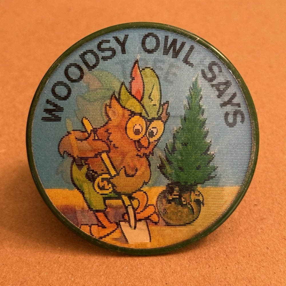 Woodsy Owl Says … Varivue Ventricular Flicker Pin Flasher Wiggle Badge Pinback